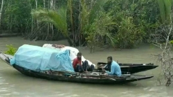 ৩ মাস বন্ধের পর উন্মুক্ত হলো সুন্দরবন